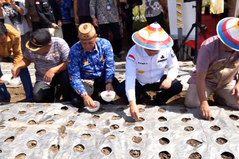 Gorontalo luncurkan Gerakan Nasional Pengendalian Inflasi Pangan