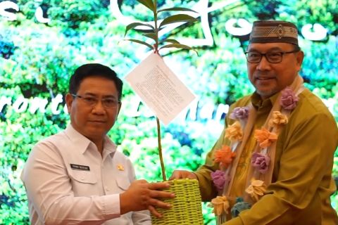 Mengurangi emisi gas rumah kaca melalui Indonesia FOLU NET SINK 2030