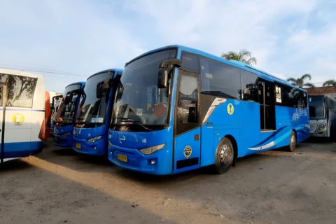 Organda NTB optimalkan armada lokal layani penonton WSBK 2023