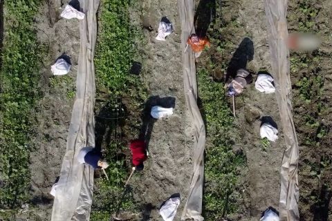 Petani Turki mulai membajak lahan musim semi di zona gempa
