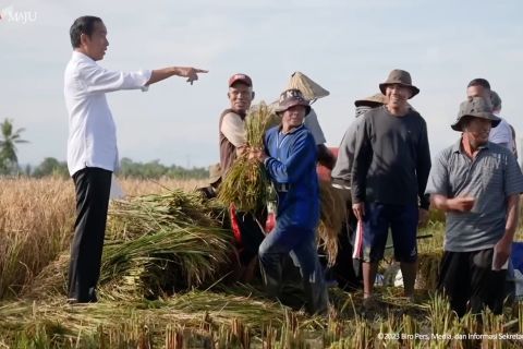 Pantau beras Sulsel, Presiden temukan stok turun di gudang Bulog