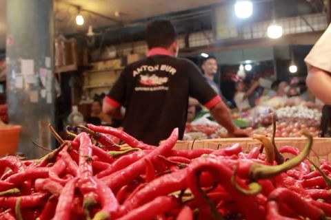 BI sebut cabai merah hingga tiket pesawat pengaruhi inflasi di Sumbar