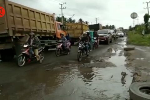 Macet parah, Gubernur Jambi setop aktivitas angkutan batu bara