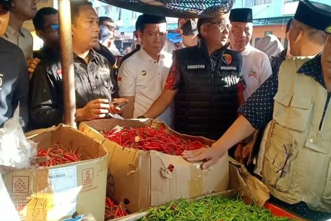 Wagub Jambi inspeksi pasar, pastikan harga bahan pokok stabil