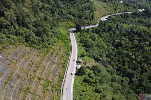 Jalur Mudik Trans Sulawesi Kebun Kopi