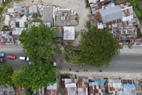 Pohon Tumbang Dampak Angin Kencang di Palu