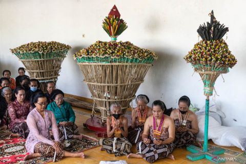 Upacara Tumplak Wajik Keraton Yogyakarta