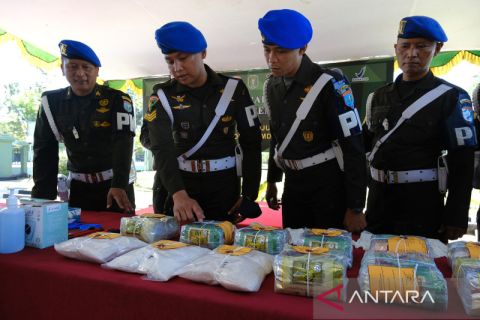 Pemusnahan sabu hasil tangkapan Satgas Pamtas RI-Malaysia