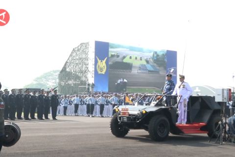 Panglima harap TNI AU tetap profesional dan tangguh