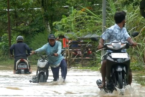 Banjir rendam ratusan rumah & jalan penghubung Jember – Lumajang