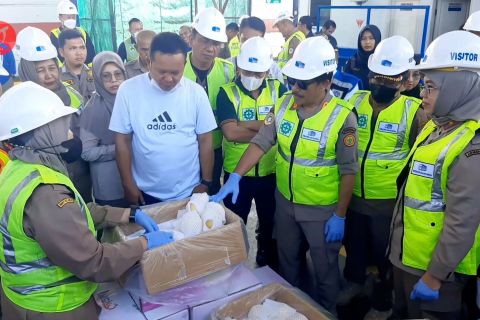 Barantan RI masih larang impor komoditas pertanian dari Myanmar