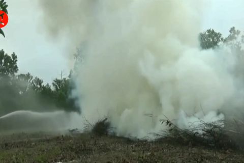 Kenaikan suhu panas tak biasa, Jambi siagakan tim karhutla