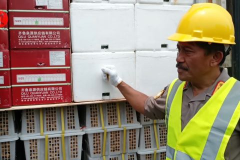 Badan Karantina Pertanian jamin kelancaran lalu lintas bahan pangan
