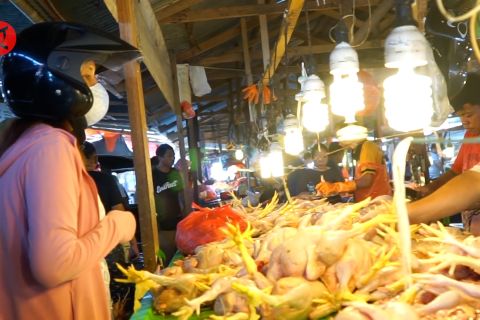 Disperindag Kota Gorontalo minta warga tidak khawatir stok ayam potong