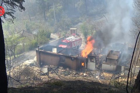 Satu tewas dan tiga terluka dalam kebakaran hutan di Korsel