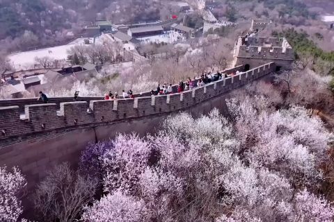 Tembok Besar Badaling pikat wisatawan dengan panorama musim semi