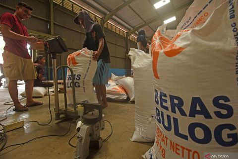 Beras impor dari Vietnam untuk bansos