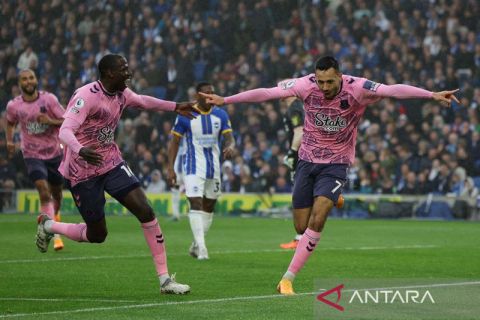 Liga Inggris : Everton hajar Brighton Hove Albion 5-1