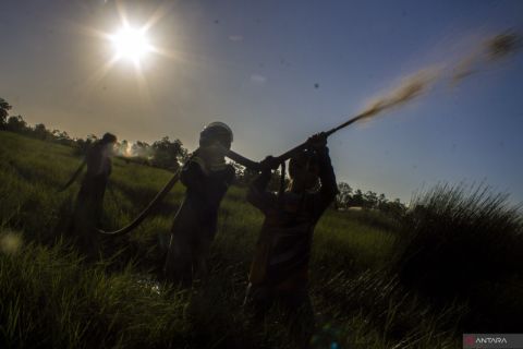 Karhutla di Kalimantan Selatan