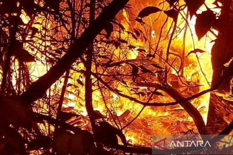 Dampak serangan pesawat tak berawak Rusia di Kyiv