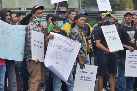 Tembakau disamakan dengan narkotika, APTI tolak RUU kesehatan
