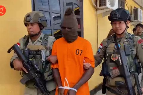 Ops Damai Cartenz menindak 31 anggota KKB selama empat bulan terakhir