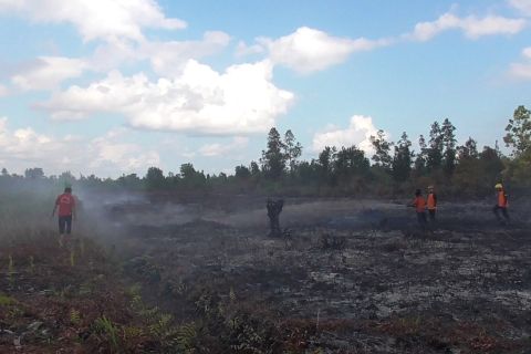 Kalimantan Tengah akan tetapkan status siaga darurat bencana karhutla