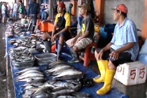 Konservasi alam di Wallacea untuk jaga ketersediaan pangan global