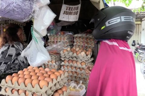 NTB dorong Bapanas subsidi pakan ternak demi intervensi harga telur