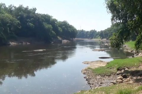 Pencemaran Sungai Bengawan Solo kembali terjadi