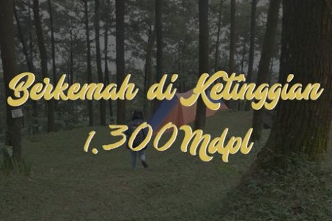 Serunya berkemah di ketinggian 1.300 mdpl kawasan Puncak