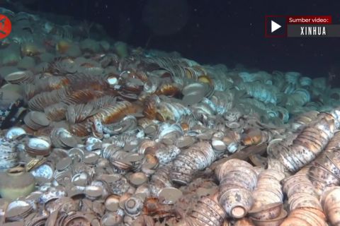 Temuan Dinasti Ming awali investigasi arkeologi di Laut China Selatan