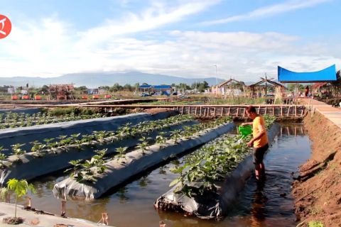 Penas Tani jadi upaya konsolidasi jaga ketahanan pangan nasional