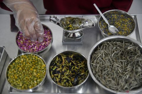 Produksi teh herbal untuk pasar ekspor