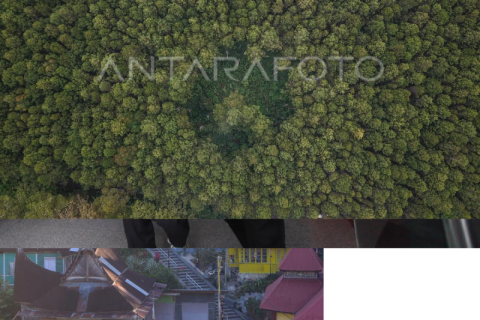 Luas hutan Indonesia
