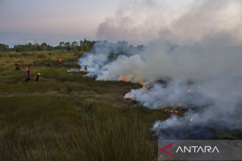 Karhutla terjadi di dekat bandara Syamsudin Noor Kalsel