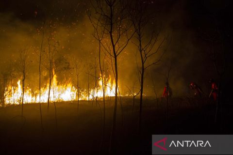 Petugas Manggala Agni berjibaku hingga malam hari untuk padamkan kebakaran lahan di Kalsel