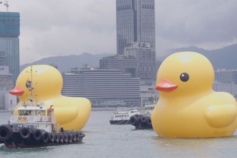 Ada di Hong Kong, dua bebek karet raksasa dari seniman Belanda