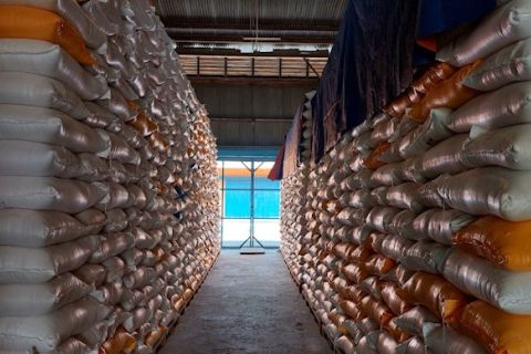 Bulog siapkan ribuan ton beras jelang Idul Adha 1444 H