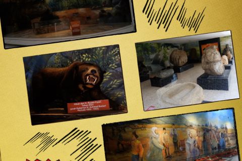 Jadi wisata edukasi, Museum Balaputra Dewa tampilkan 20.197 koleksi