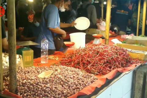 Kendalikan inflasi, Pemprov Jambi fokus jaga bawang merah dan cabai
