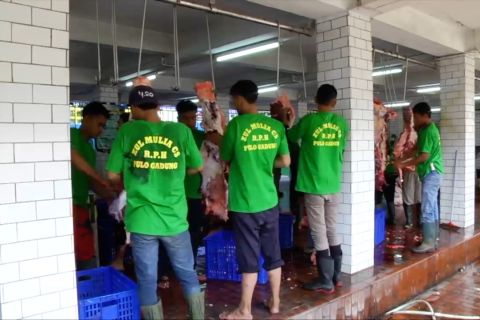 Masjid Istiqlal salurkan daging kurban lewat perwakilan lembaga