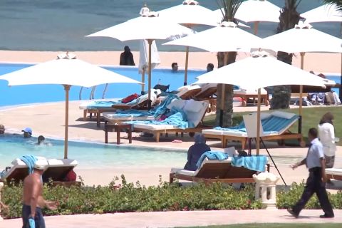 Mesir lakukan studi tentang perilaku hiu di Laut Merah