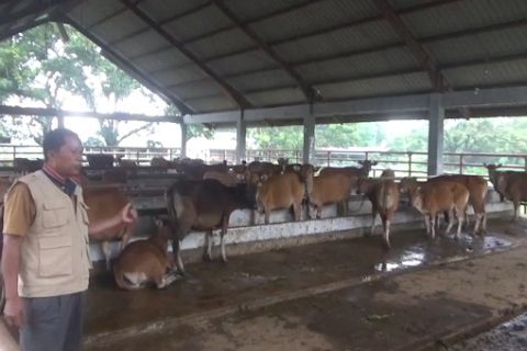 Sekda Banten: Sinyal internet dimatikan untuk lindungi Baduy Dalam