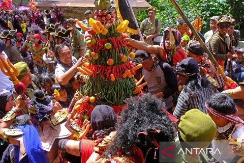 Petani Temanggung gelar syukuran panen melimpah