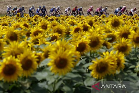 Etape 8 Tour de France