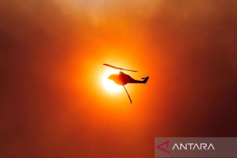 Kebakaran hutan di Yunani