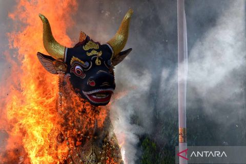 Suasana upacara kremasi jenazah mantan Bupati Gianyar
