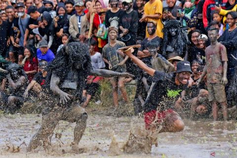 Tradisi Kebo-keboan Alas Malang di Banyuwangi