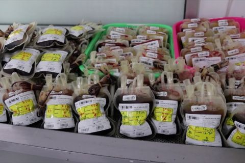 PMI Banda Aceh butuh lebih banyak pendonor darah